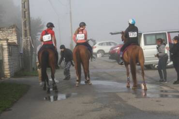 Grand régional d’endurance équestre d’IDF